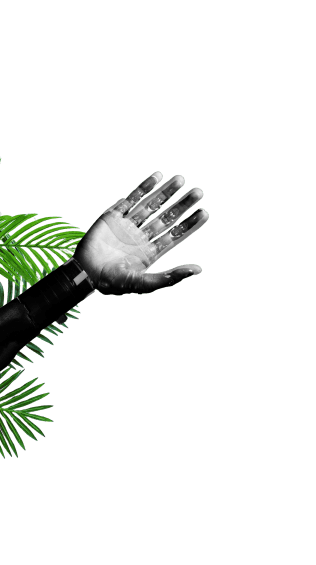 La nature et la technologie convergent : une verdure luxuriante s'entrelace avec des circuits élégants, symbolisant un partenariat harmonieux.
